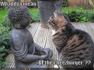 buddacat2