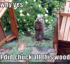 woodchuck-chucked-wood