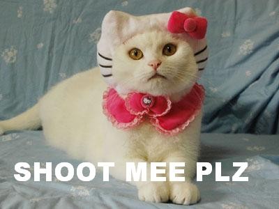 lolcatsdotcom8vep82u35hqhg8hq