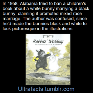 tumblr_no2r50u2Rs1rhavdko1_500