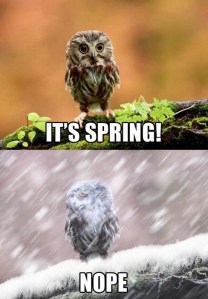 not spring