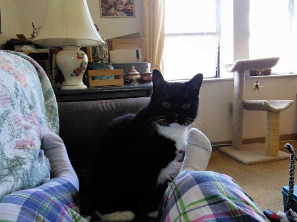 IMG_20150722_152151_PerfectlyClear