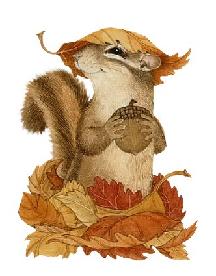 fallsquirrel2