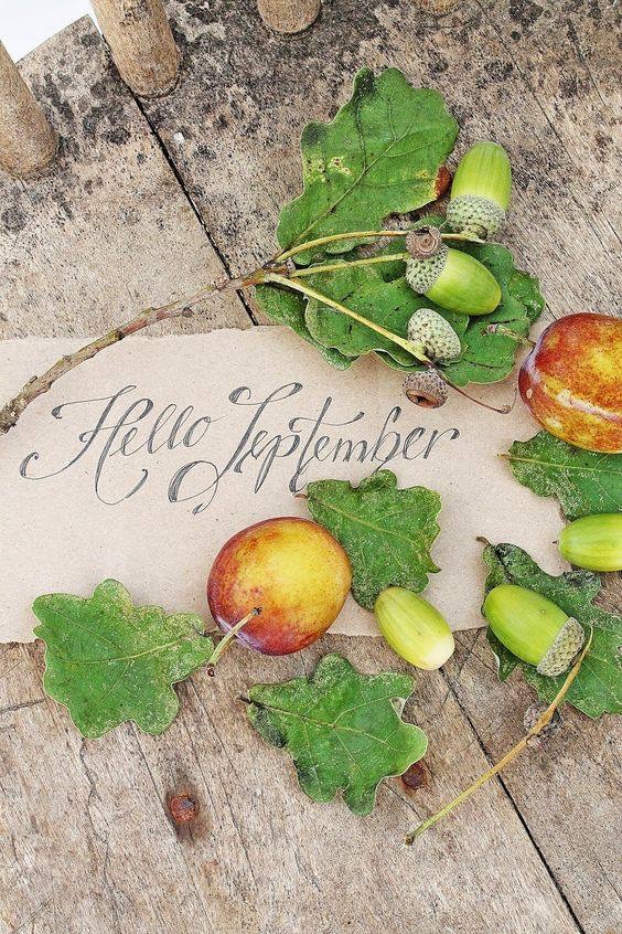 tumblr_ocswi7GPUv1two5sjo1_1280