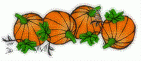 pumpkins-medium