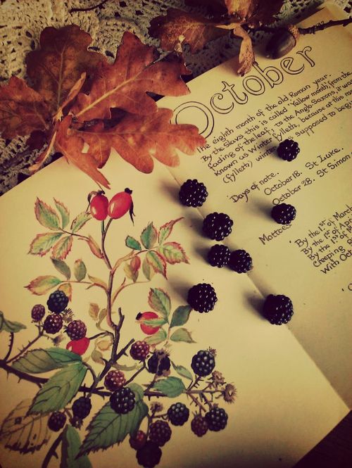 tumblr_nvazm6vqk01unvsyco1_500