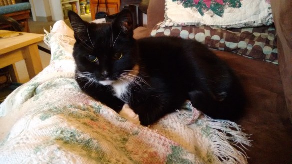 2015-12-29-15-47-44-2