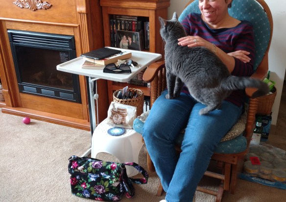 2017-09-09 13.55.53-3