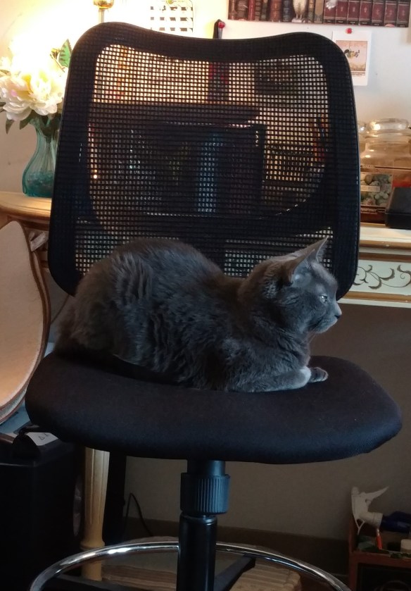 2017-09-11 15.27.17 (2)