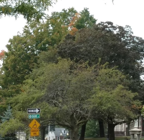 2017-09-15 11.27.18b