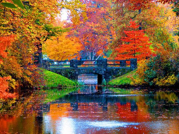 autumn in Boston Marie Jamieson