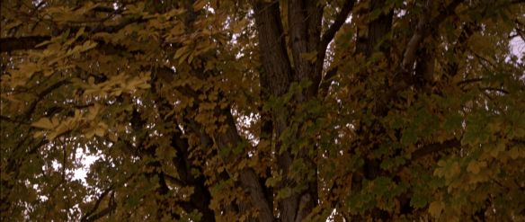 Screenshot 2017-09-26 14.03.14