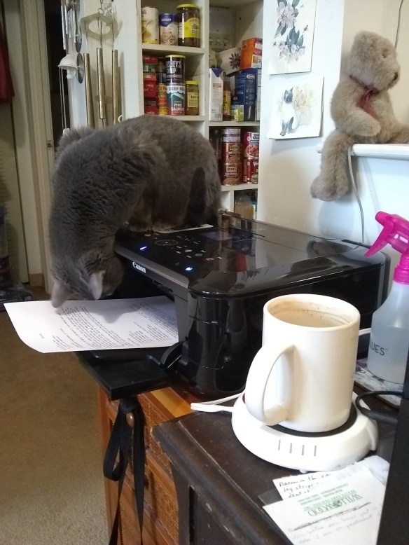 IMG_20180223_142244891